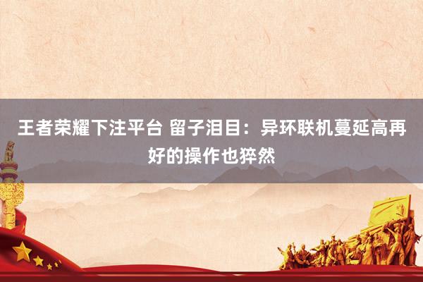 王者荣耀下注平台 留子泪目：异环联机蔓延高再好的操作也猝然
