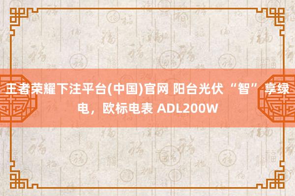 王者荣耀下注平台(中国)官网 阳台光伏 “智” 享绿电，欧标电表 ADL200W