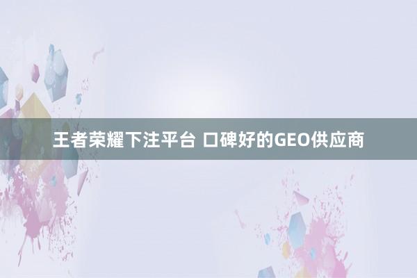 王者荣耀下注平台 口碑好的GEO供应商