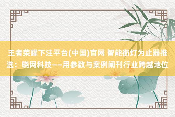 王者荣耀下注平台(中国)官网 智能街灯为止器推选：晓网科技——用参数与案例阐刊行业跨越地位