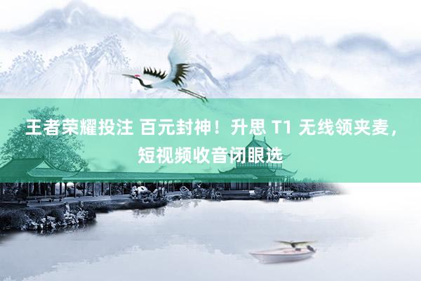 王者荣耀投注 百元封神！升思 T1 无线领夹麦，短视频收音闭眼选