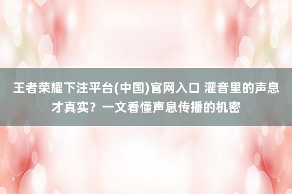 王者荣耀下注平台(中国)官网入口 灌音里的声息才真实？一文看懂声息传播的机密