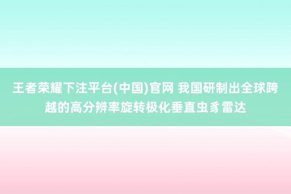 王者荣耀下注平台(中国)官网 我国研制出全球跨越的高分辨率旋转极化垂直虫豸雷达