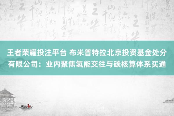 王者荣耀投注平台 布米普特拉北京投资基金处分有限公司：业内聚焦氢能交往与碳核算体系买通