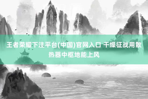 王者荣耀下注平台(中国)官网入口 干燥征战用散热器中枢地能上风