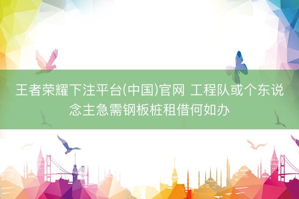 王者荣耀下注平台(中国)官网 工程队或个东说念主急需钢板桩租借何如办