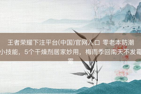 王者荣耀下注平台(中国)官网入口 零老本防潮小技能，5个干燥剂居家妙用，梅雨季回南天不发霉