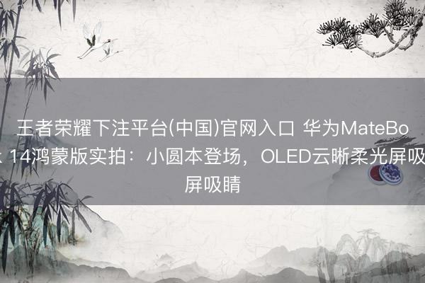 王者荣耀下注平台(中国)官网入口 华为MateBook 14鸿蒙版实拍：小圆本登场，OLED云晰柔光屏吸睛